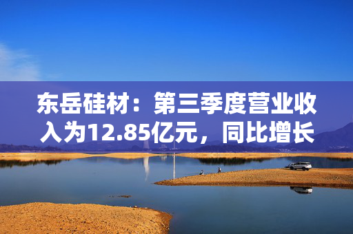 东岳硅材：第三季度营业收入为12.85亿元，同比增长14.27%