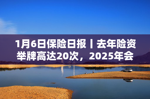 1月6日保险日报丨去年险资举牌高达20次，2025年会否继续？2024年险企持续瘦身健体，撤销近2000家分支机构！