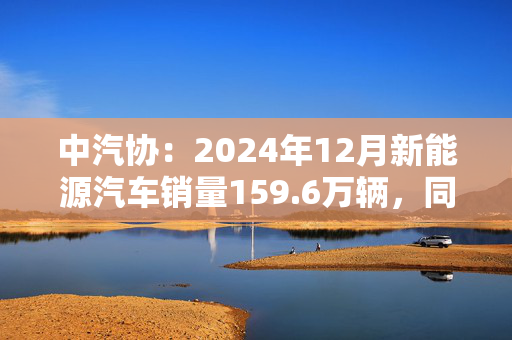 中汽协：2024年12月新能源汽车销量159.6万辆，同比增长34%