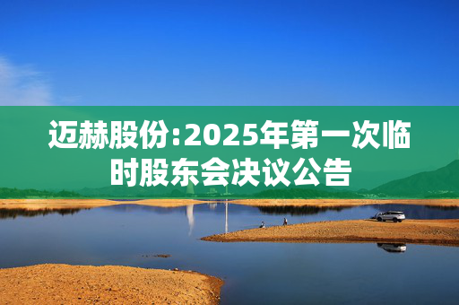 迈赫股份:2025年第一次临时股东会决议公告