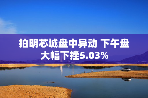 拍明芯城盘中异动 下午盘大幅下挫5.03%