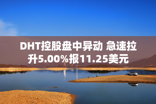 DHT控股盘中异动 急速拉升5.00%报11.25美元