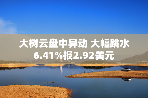 大树云盘中异动 大幅跳水6.41%报2.92美元