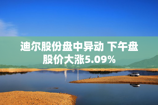 迪尔股份盘中异动 下午盘股价大涨5.09%