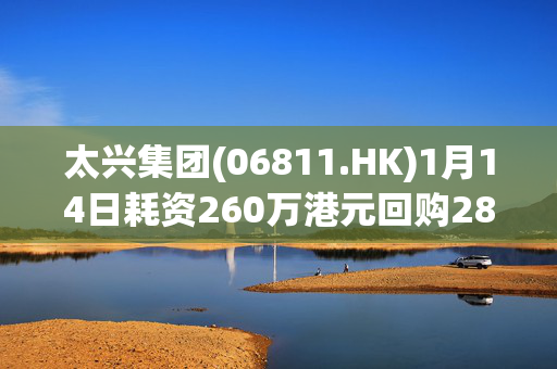 太兴集团(06811.HK)1月14日耗资260万港元回购281.3万股