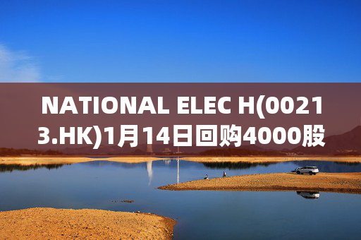 NATIONAL ELEC H(00213.HK)1月14日回购4000股