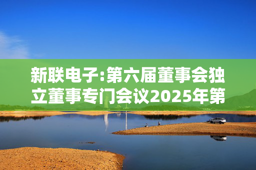 新联电子:第六届董事会独立董事专门会议2025年第一次会议决议