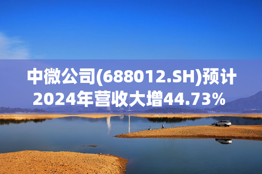 中微公司(688012.SH)预计2024年营收大增44.73% 研发投入大增94.13% LPCVD薄膜设备实现首销