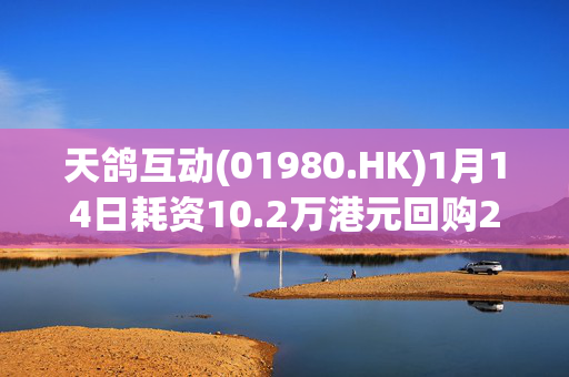 天鸽互动(01980.HK)1月14日耗资10.2万港元回购20万股