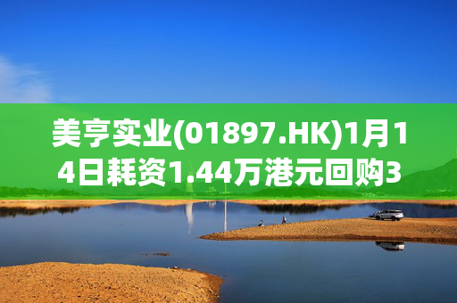 美亨实业(01897.HK)1月14日耗资1.44万港元回购3.2万股