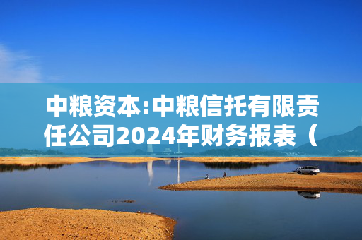 中粮资本:中粮信托有限责任公司2024年财务报表（未经审计）