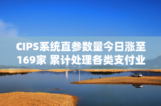 CIPS系统直参数量今日涨至169家 累计处理各类支付业务约600万亿元