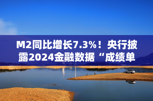 M2同比增长7.3%！央行披露2024金融数据“成绩单”，政府债发力撑起12月社融，信贷需求仍待改善