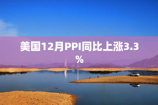 美国12月PPI同比上涨3.3%