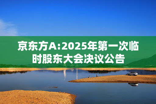 京东方A:2025年第一次临时股东大会决议公告