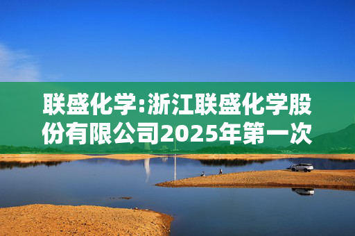 联盛化学:浙江联盛化学股份有限公司2025年第一次临时股东大会决议公告