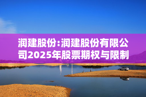 润建股份:润建股份有限公司2025年股票期权与限制性股票激励计划（草案）摘要