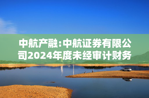 中航产融:中航证券有限公司2024年度未经审计财务报表