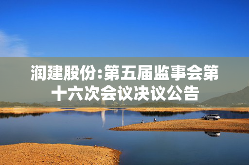 润建股份:第五届监事会第十六次会议决议公告