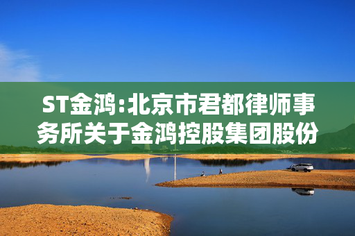 ST金鸿:北京市君都律师事务所关于金鸿控股集团股份有限公司2025年第一次临时股东大会的法律意见书