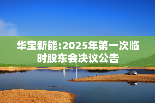 华宝新能:2025年第一次临时股东会决议公告