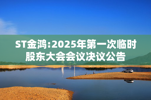 ST金鸿:2025年第一次临时股东大会会议决议公告