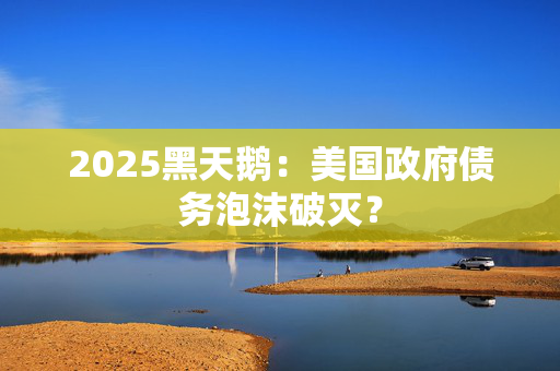 2025黑天鹅：美国政府债务泡沫破灭？