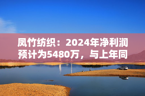 凤竹纺织：2024年净利润预计为5480万，与上年同期2.71亿相比将减少2.16亿，同比减少79.8%