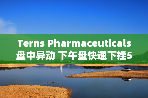 Terns Pharmaceuticals盘中异动 下午盘快速下挫5.00%