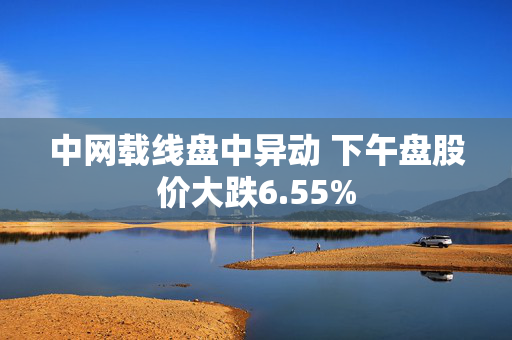 中网载线盘中异动 下午盘股价大跌6.55%