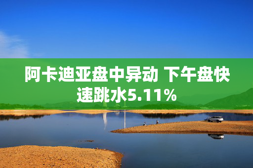 阿卡迪亚盘中异动 下午盘快速跳水5.11%