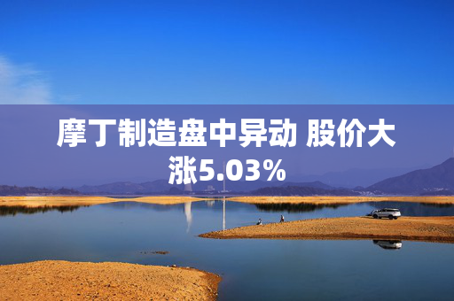 摩丁制造盘中异动 股价大涨5.03%