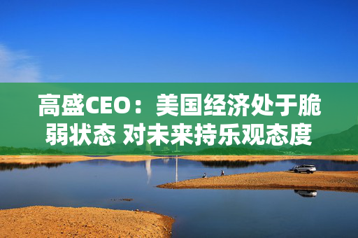 高盛CEO：美国经济处于脆弱状态 对未来持乐观态度