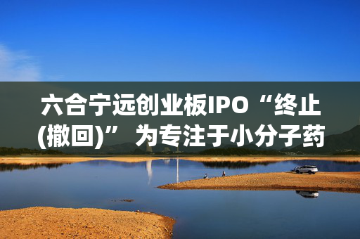 六合宁远创业板IPO“终止(撤回)” 为专注于小分子药物化学合成领域的CRO、CDMO服务提供商