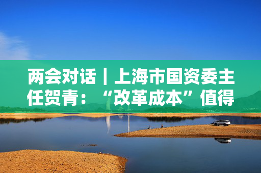 两会对话｜上海市国资委主任贺青：“改革成本”值得关注，为进一步全面深化改革创造有利条件