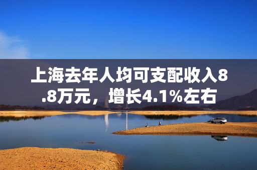 上海去年人均可支配收入8.8万元，增长4.1%左右