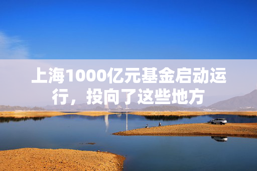 上海1000亿元基金启动运行，投向了这些地方