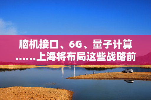 脑机接口、6G、量子计算……上海将布局这些战略前沿领域研究