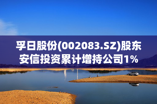 孚日股份(002083.SZ)股东安信投资累计增持公司1%股份