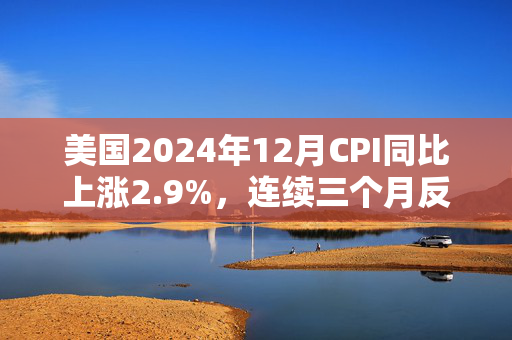 美国2024年12月CPI同比上涨2.9%，连续三个月反弹