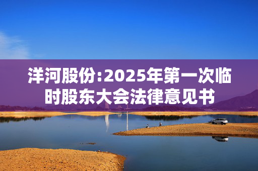 洋河股份:2025年第一次临时股东大会法律意见书