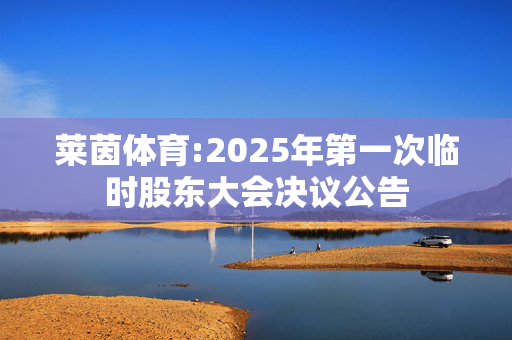 莱茵体育:2025年第一次临时股东大会决议公告