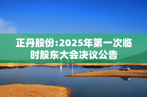 正丹股份:2025年第一次临时股东大会决议公告