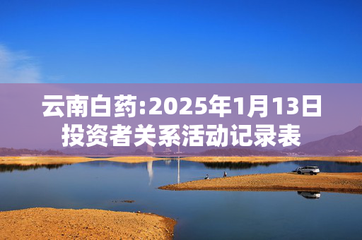 云南白药:2025年1月13日投资者关系活动记录表