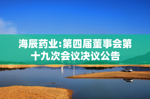 海辰药业:第四届董事会第十九次会议决议公告