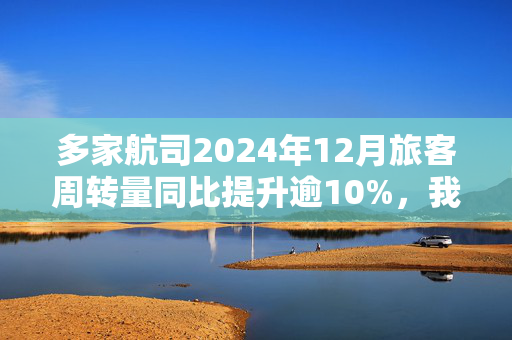 多家航司2024年12月旅客周转量同比提升逾10%，我国民航去年旅客运输量创纪录