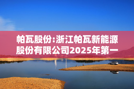 帕瓦股份:浙江帕瓦新能源股份有限公司2025年第一次临时股东大会决议公告