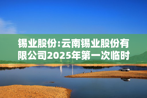 锡业股份:云南锡业股份有限公司2025年第一次临时股东大会决议公告