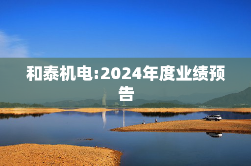 和泰机电:2024年度业绩预告