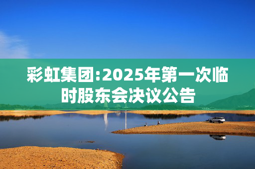 彩虹集团:2025年第一次临时股东会决议公告